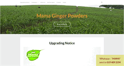 Desktop Screenshot of mamaginger.com